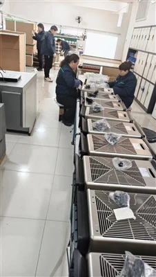As The Chinese Traditional Spring Festival Holiday Approaches